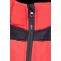 SOFTSHELL SEVEN KINGS A4SO Rubin