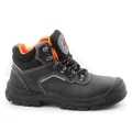 TRZEWIK R02 SRC BEARFIELD BBR2 O1