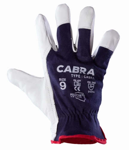 CABRA 10 __