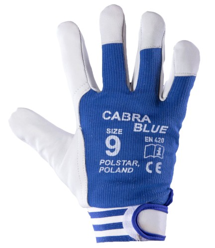 BLUE 10 Niebieski