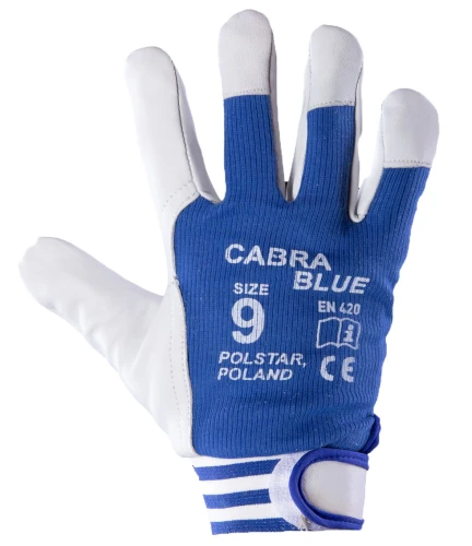 BLUE 8 Niebieski