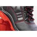 TRZEWIK RED SRC MAX-POPULAR. BMRT S3