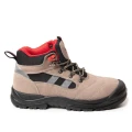 TRZEWIK R01 S1 SRC BEARFIELD BBR1