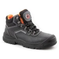 TRZEWIK R02 S1 SRC BEARFIELD BBR2