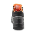 TRZEWIK R02 S1 SRC BEARFIELD BBR2