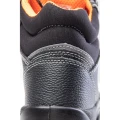 TRZEWIK R02 S1 SRC BEARFIELD BBR2