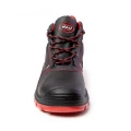 TRZEWIK RED SRC MAX-POPULAR. BMRT O1