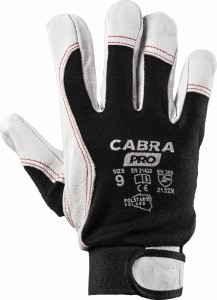 CABRA PRO 10 __