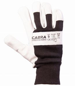 CABRA ŚCIĄGACZ 10 __
