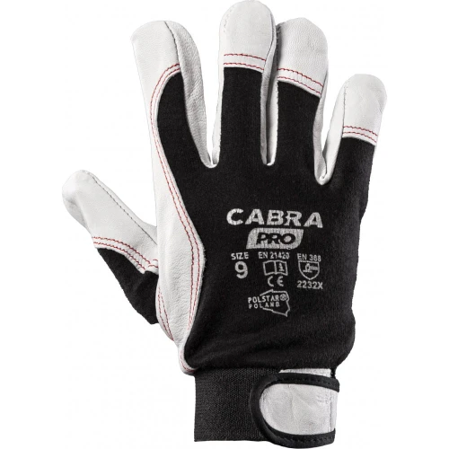 CABRA PRO CABRA RSCP