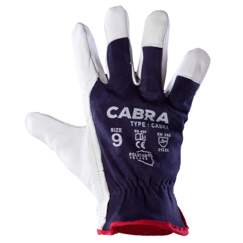 CABRA CABRA RSCA